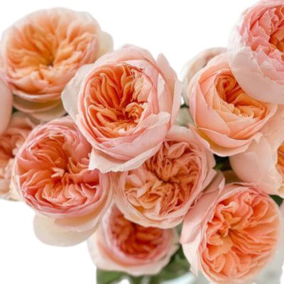 Fresh Blooms &amp; Greenery