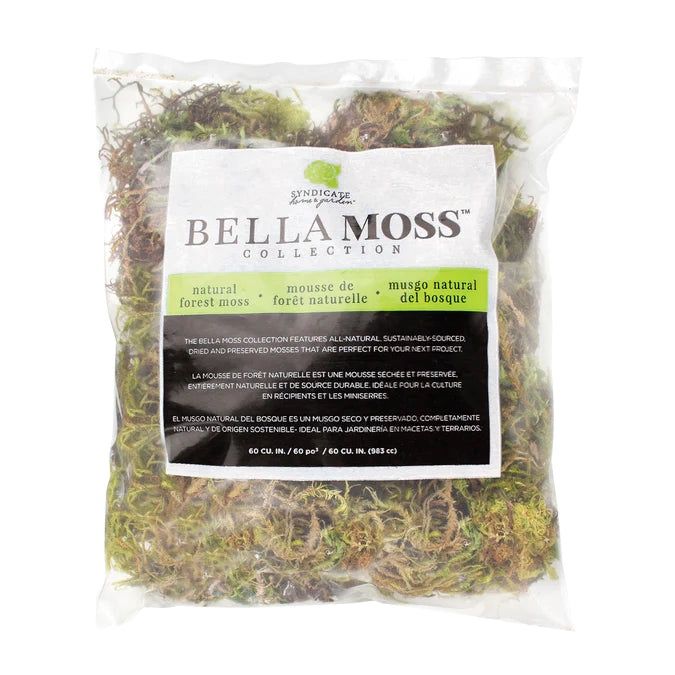 Green Moss Bag