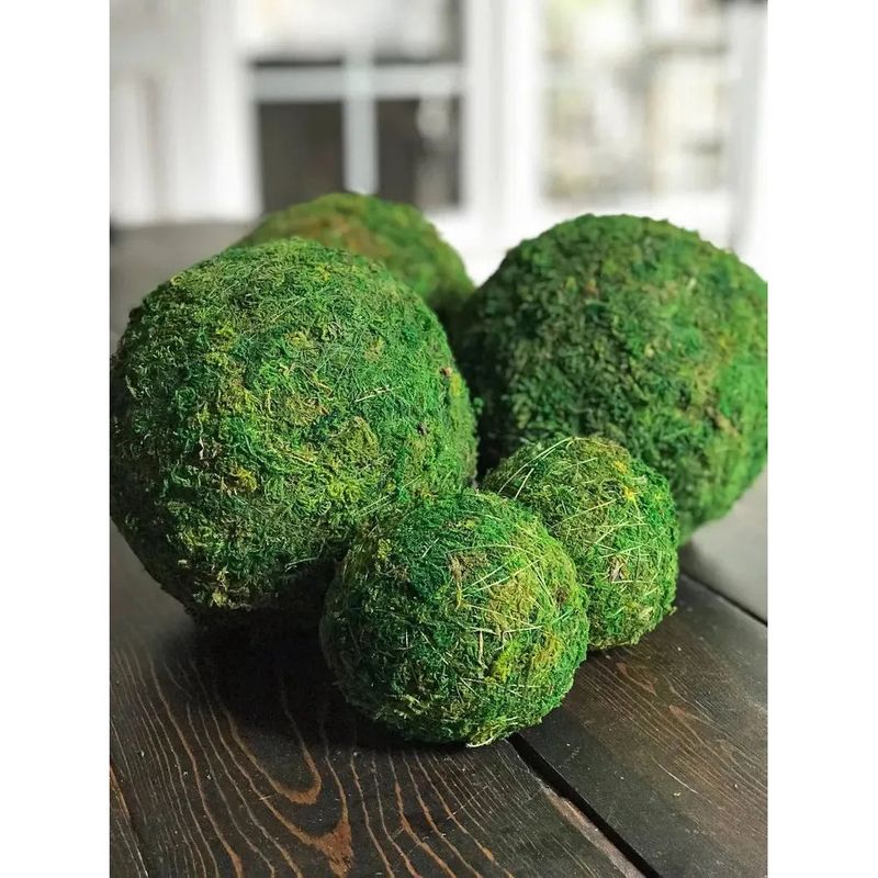 4" Moss Ball