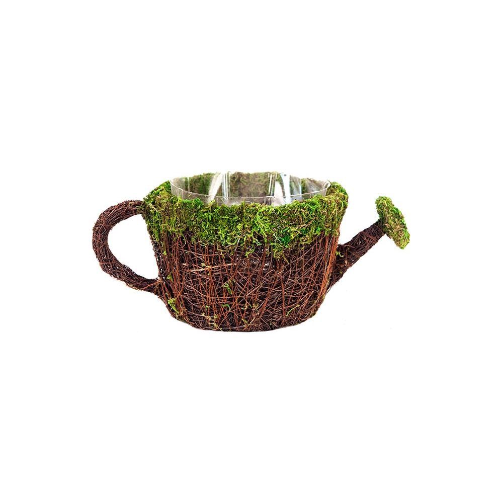 Moss Watering Can Planter