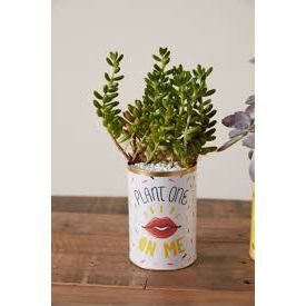Potted Punny Can