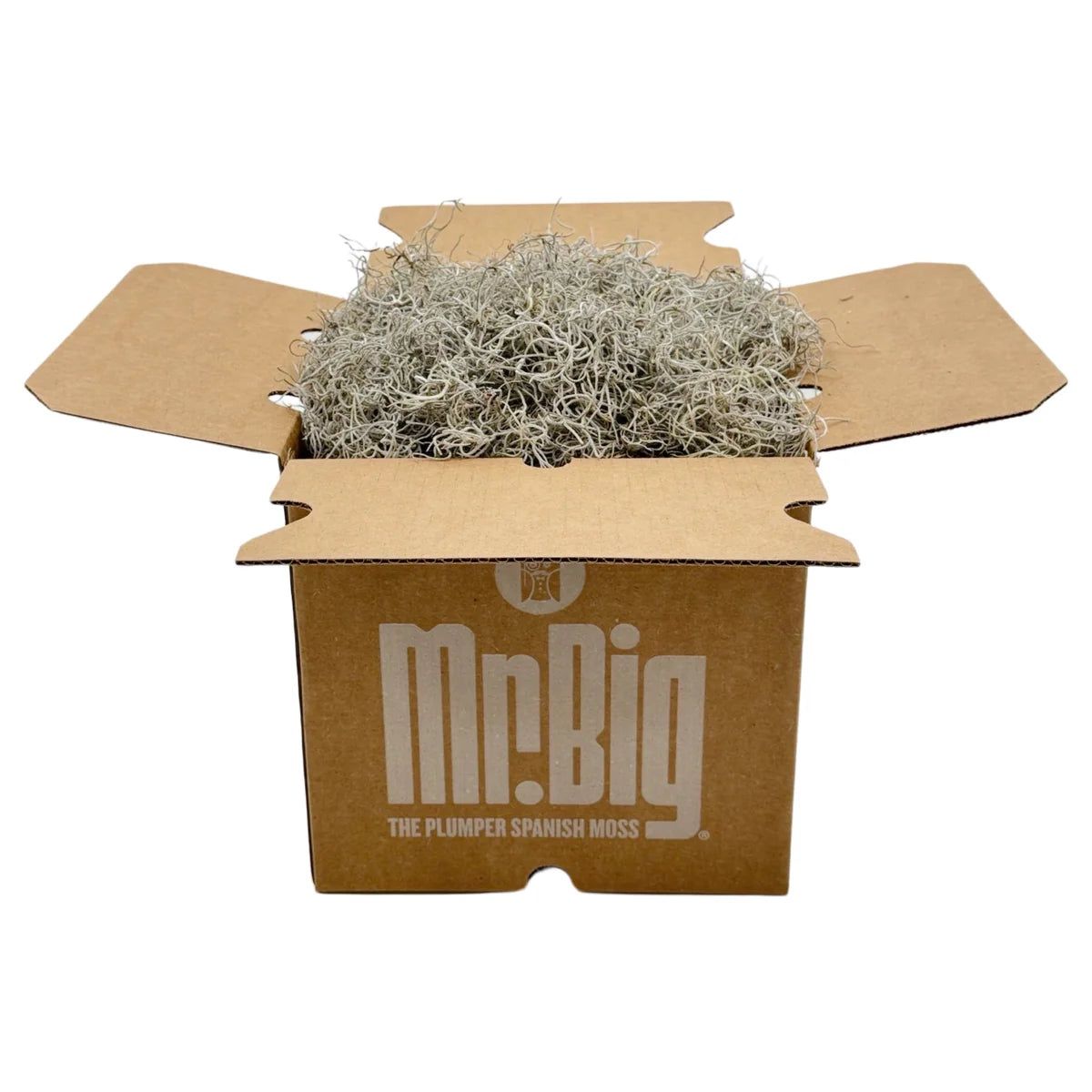 Spanish Moss - Mr. Big Box