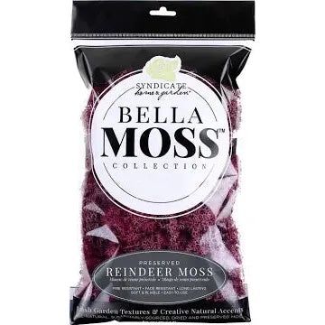 Reindeer Moss - Sangria (80 Cu In)