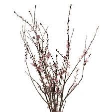 Blooming Branches - Pink