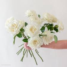 Garden Rose