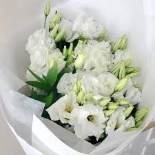 Lisianthus