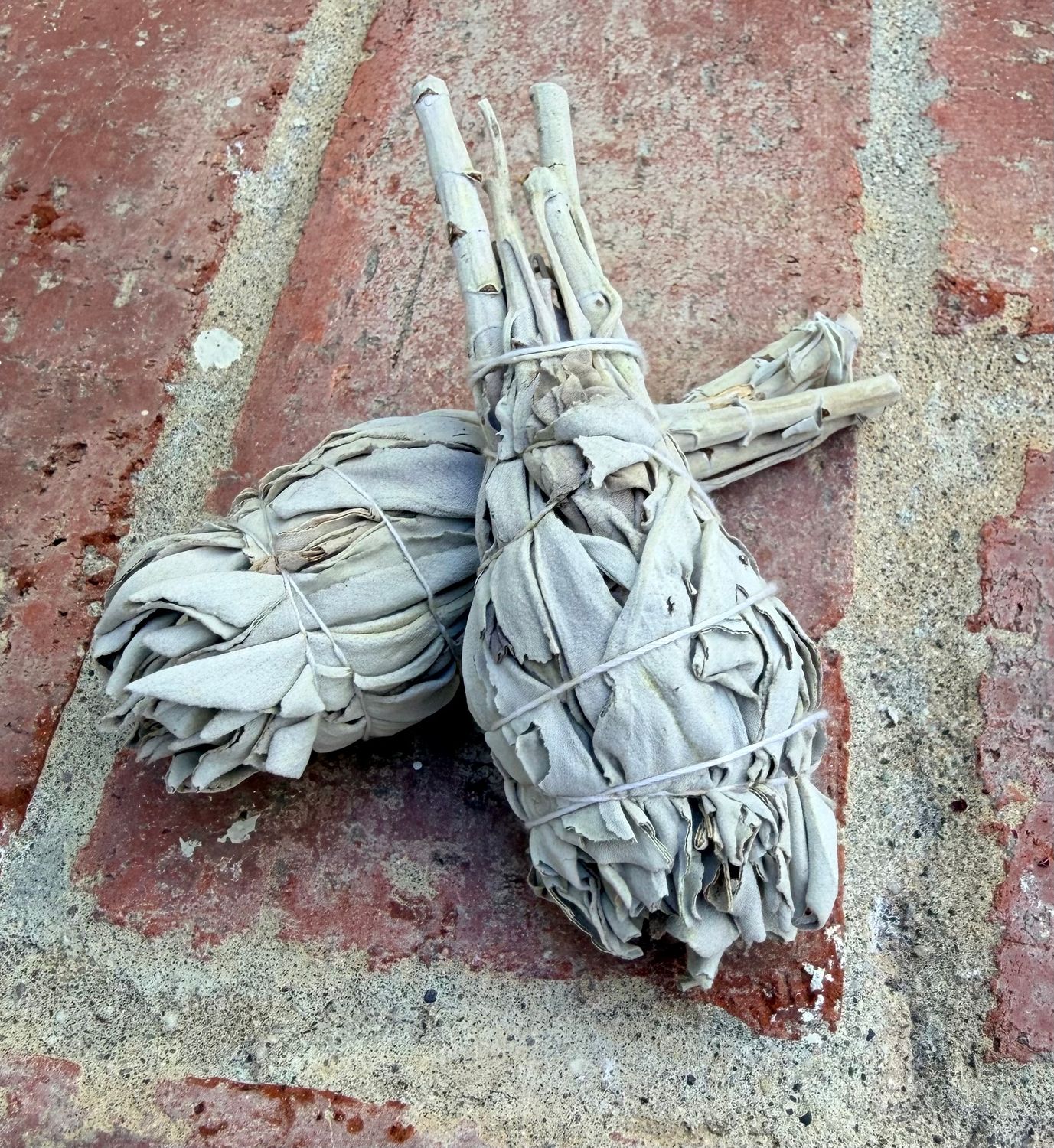 California White Sage/4in