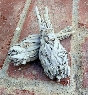 California White Sage/4in