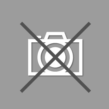 T2M Verzinkte kopschroeven (3 x 16)