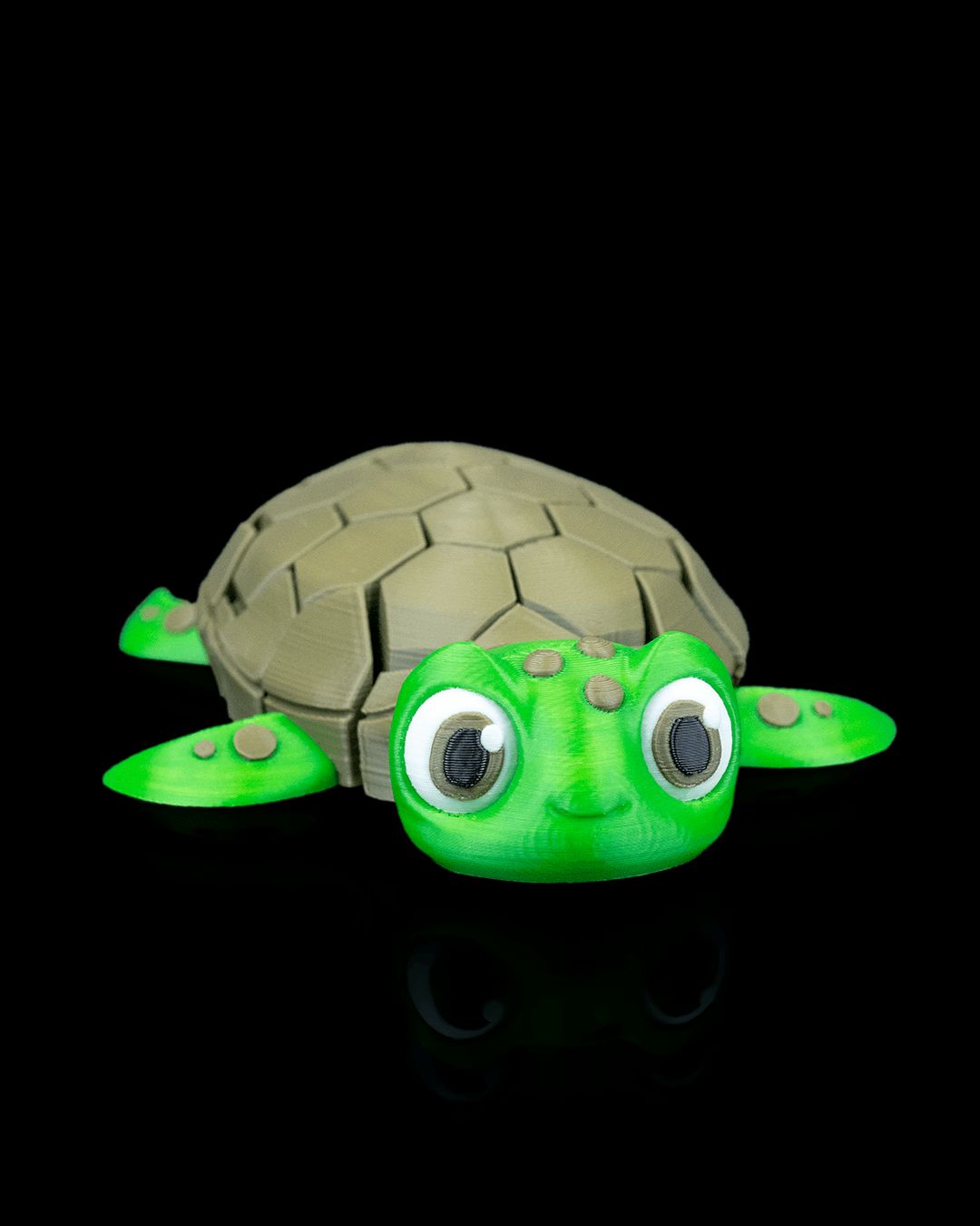 Myrtle the Turtle