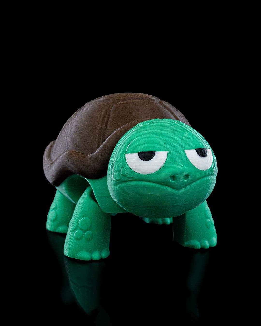 (not) Surprised Turtle, Size: Small