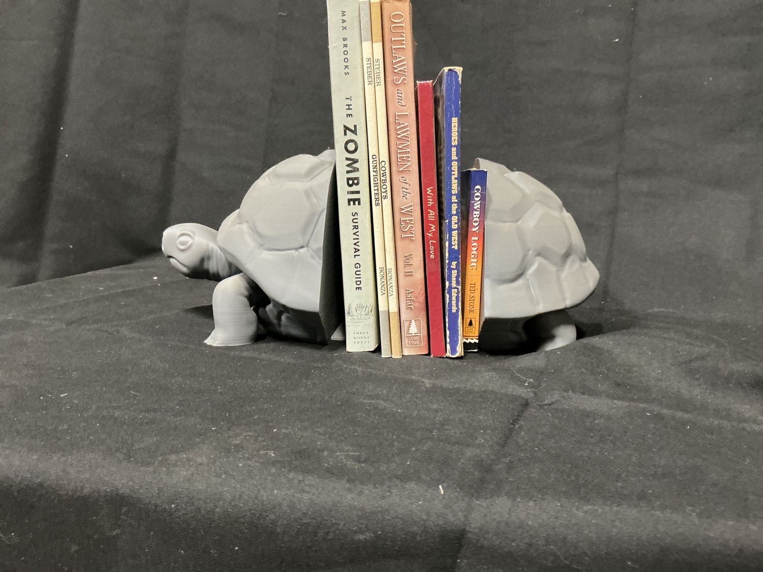 Turtle Book End