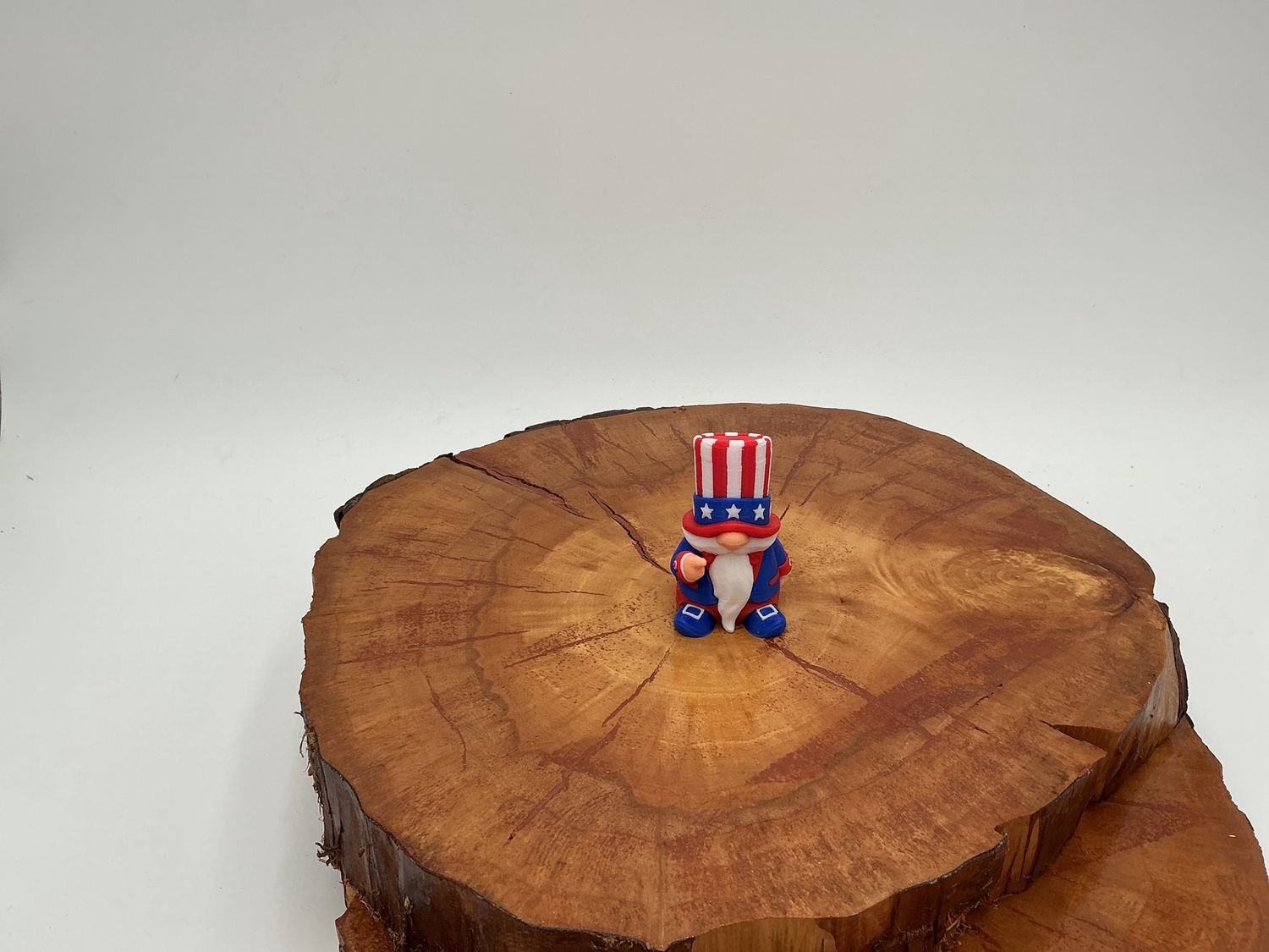 American Gnome William, Size: Small