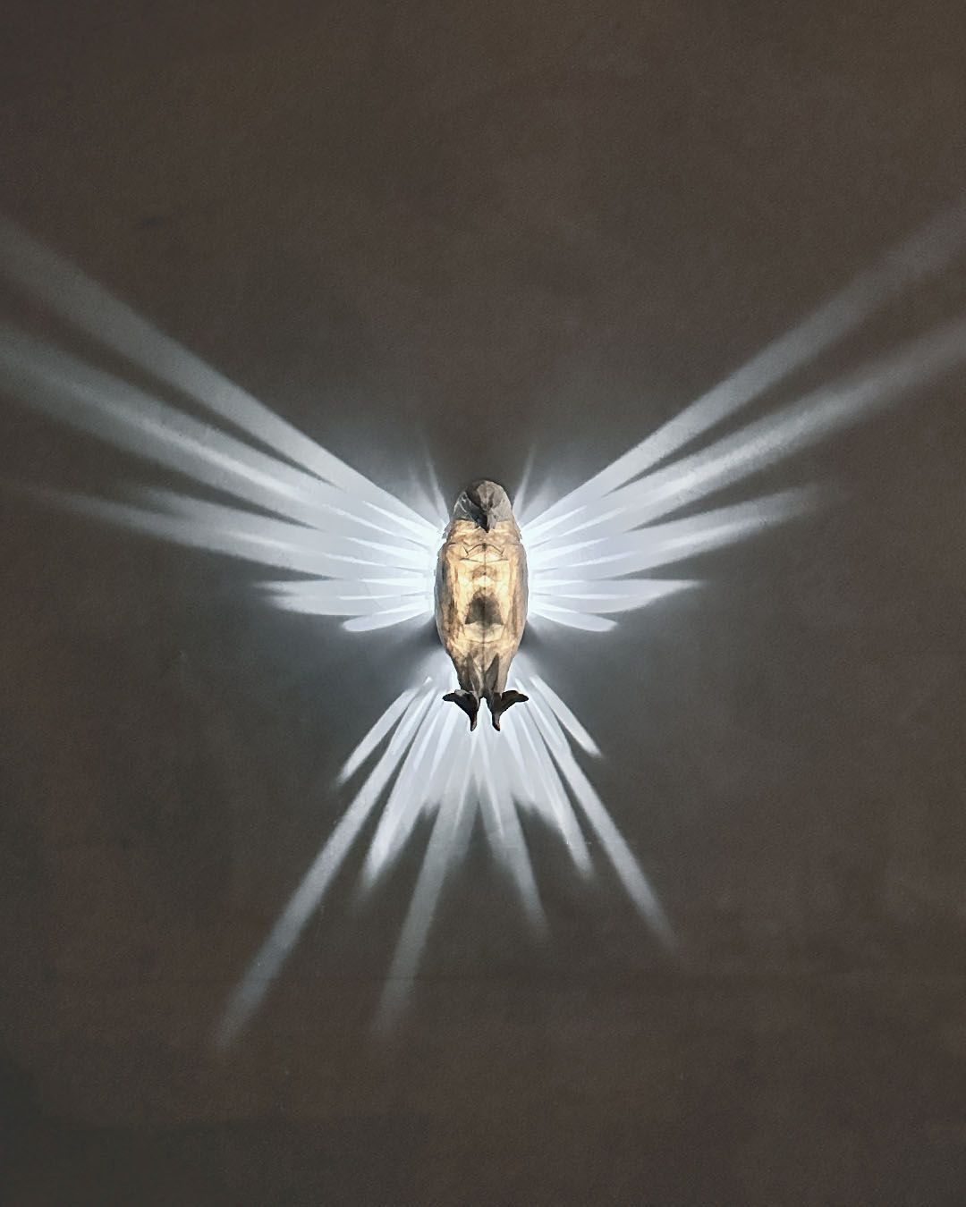 Bright Art-Animals, Type: Eagle