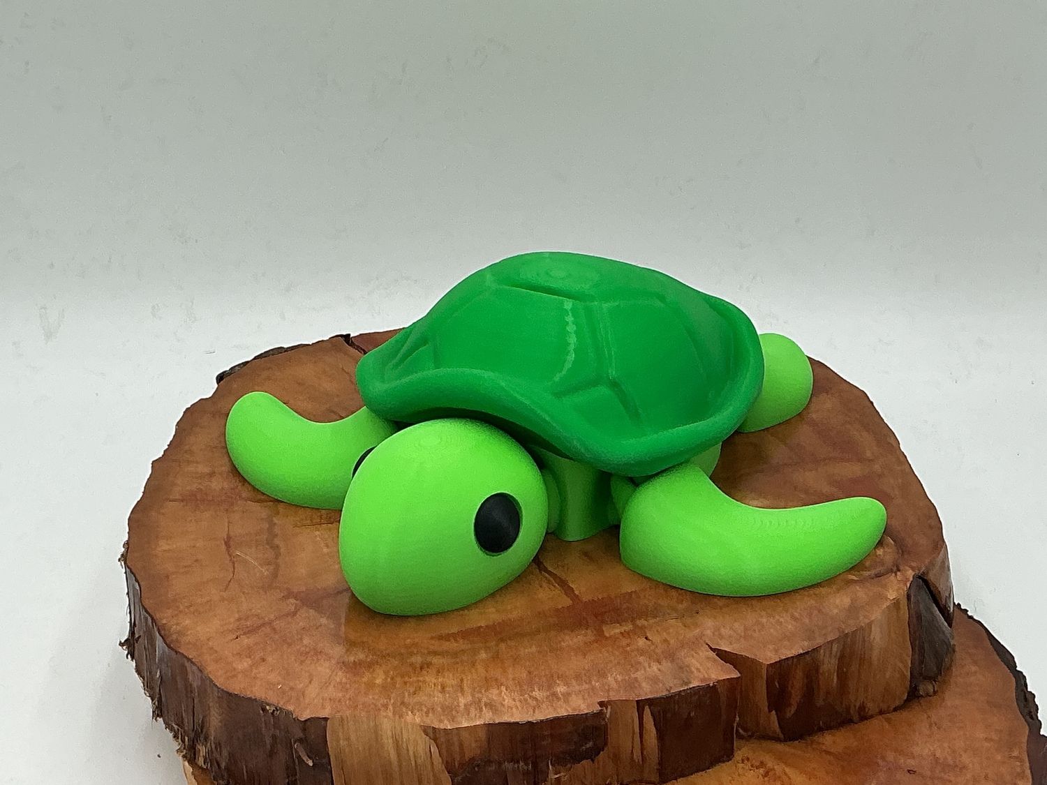Slow turtle