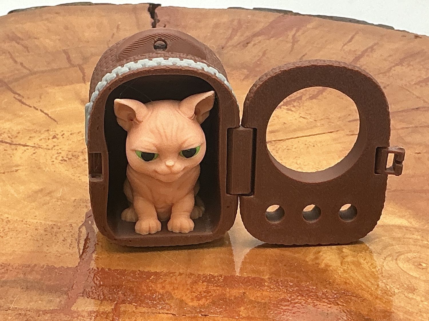 Stitched Pack - Sphynx