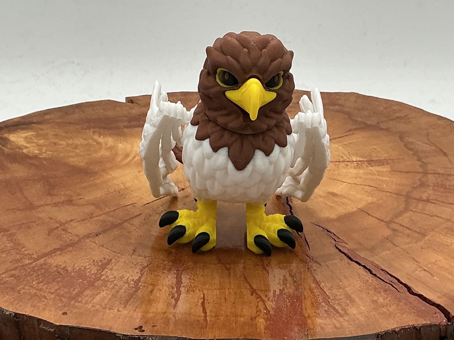 Bald Eagle