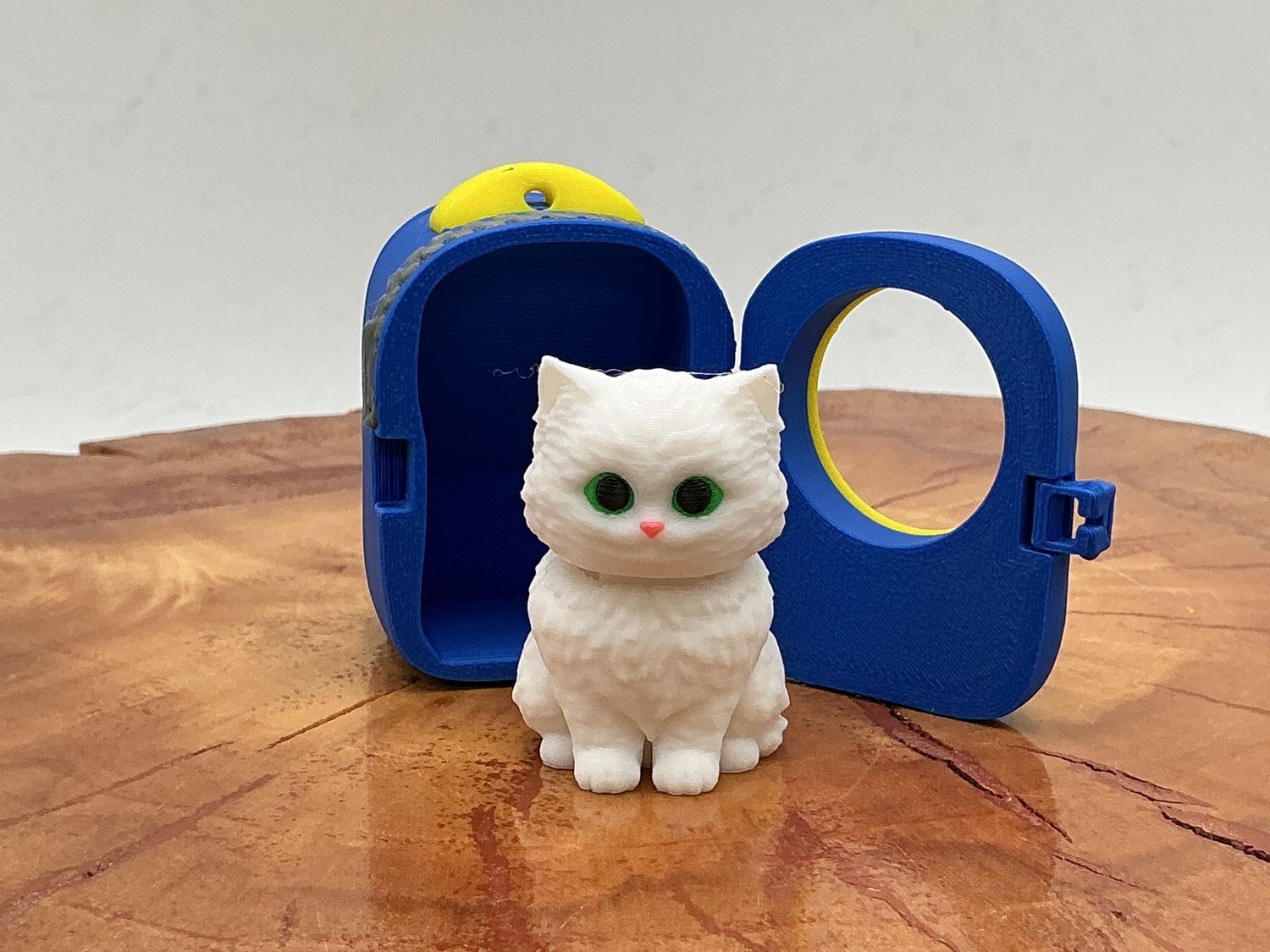 Cat Pack- Turkish Angora