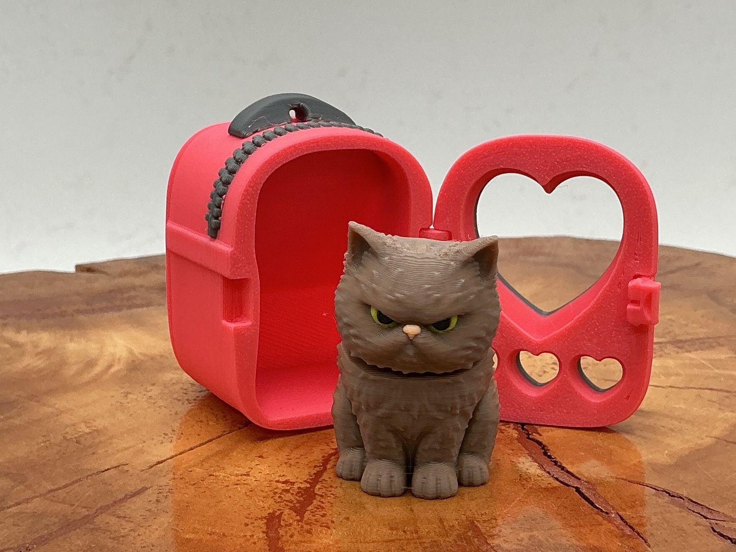 Cat Pack - Persian