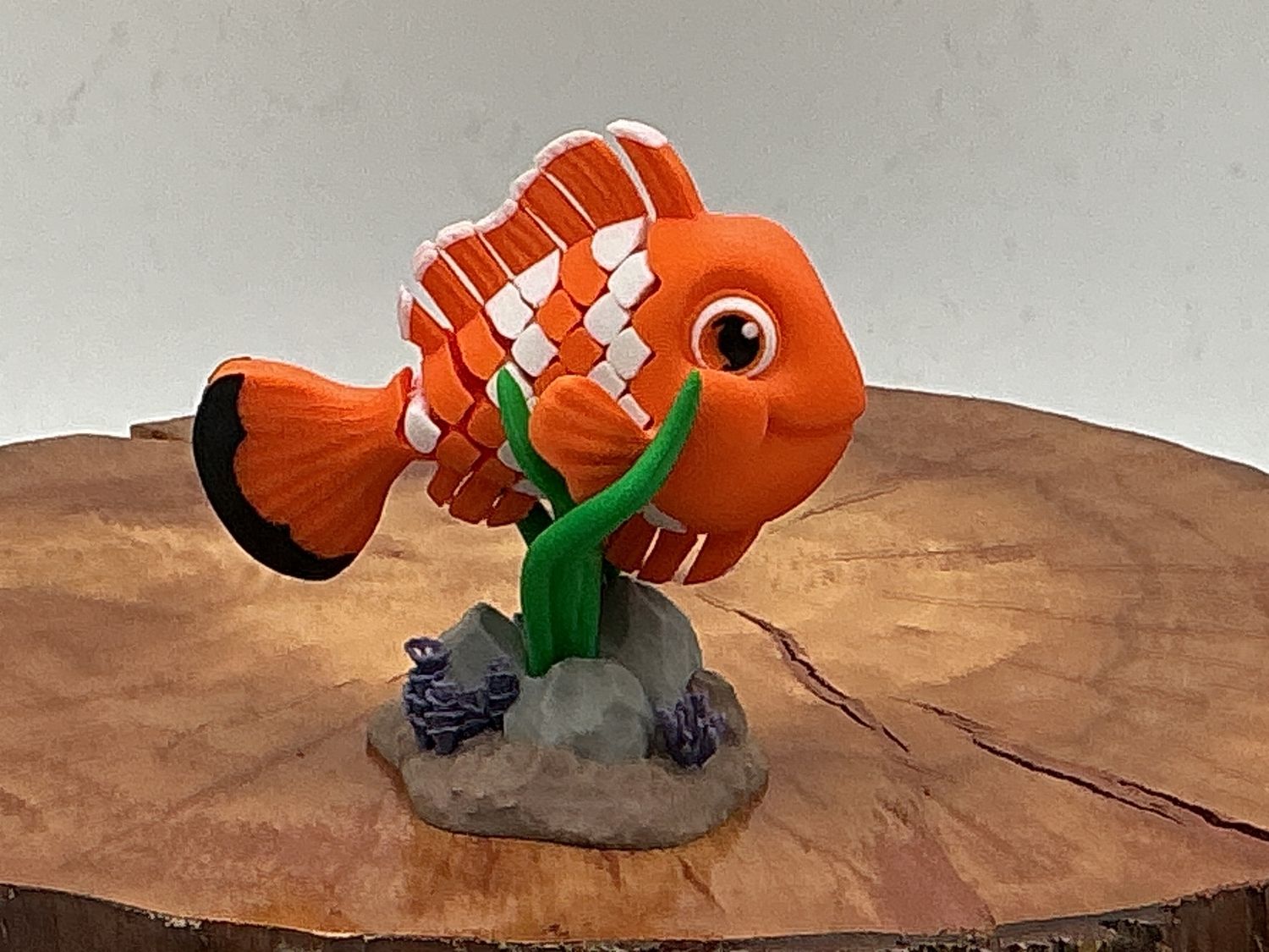 Nestor The Clownfish