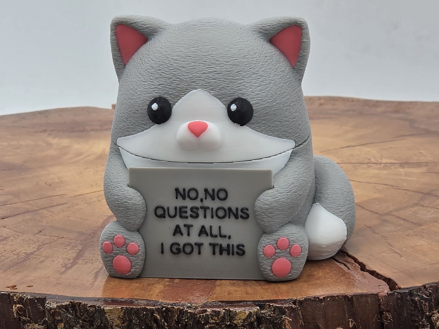 Fine Cat