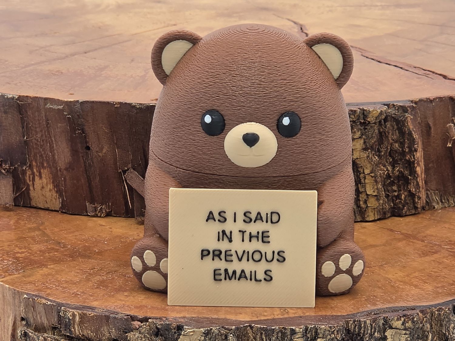 Steady Bear