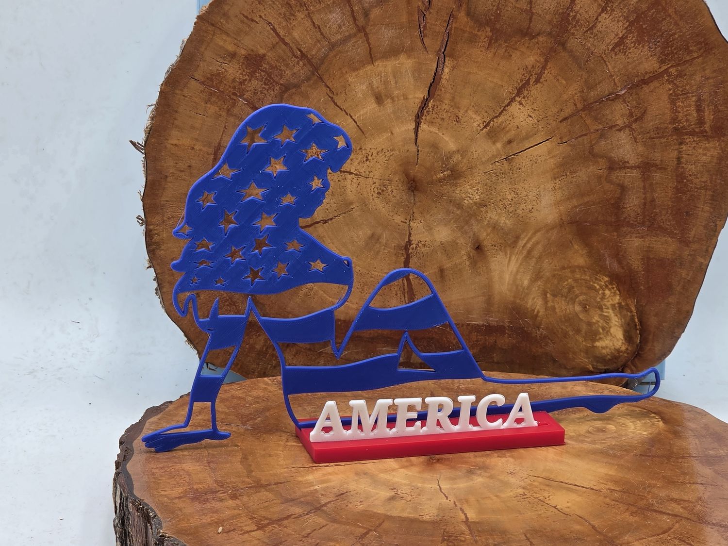 AMERICAN PIN UP