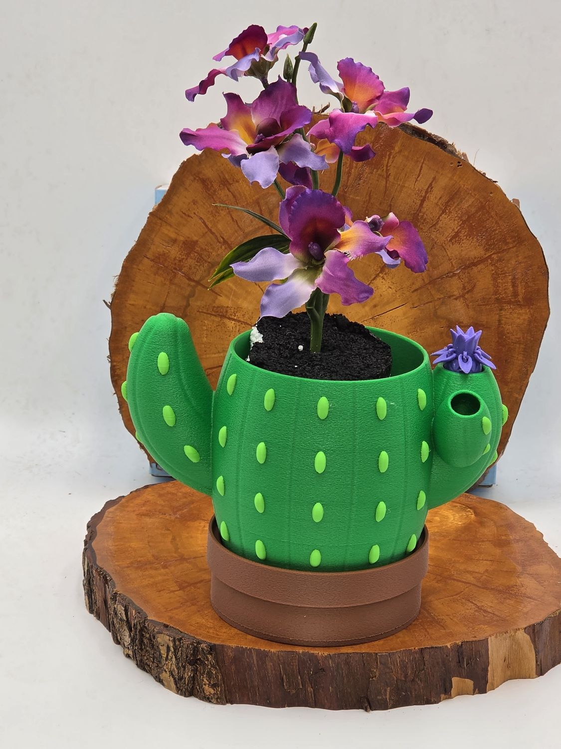 Happy Cactus - Planter