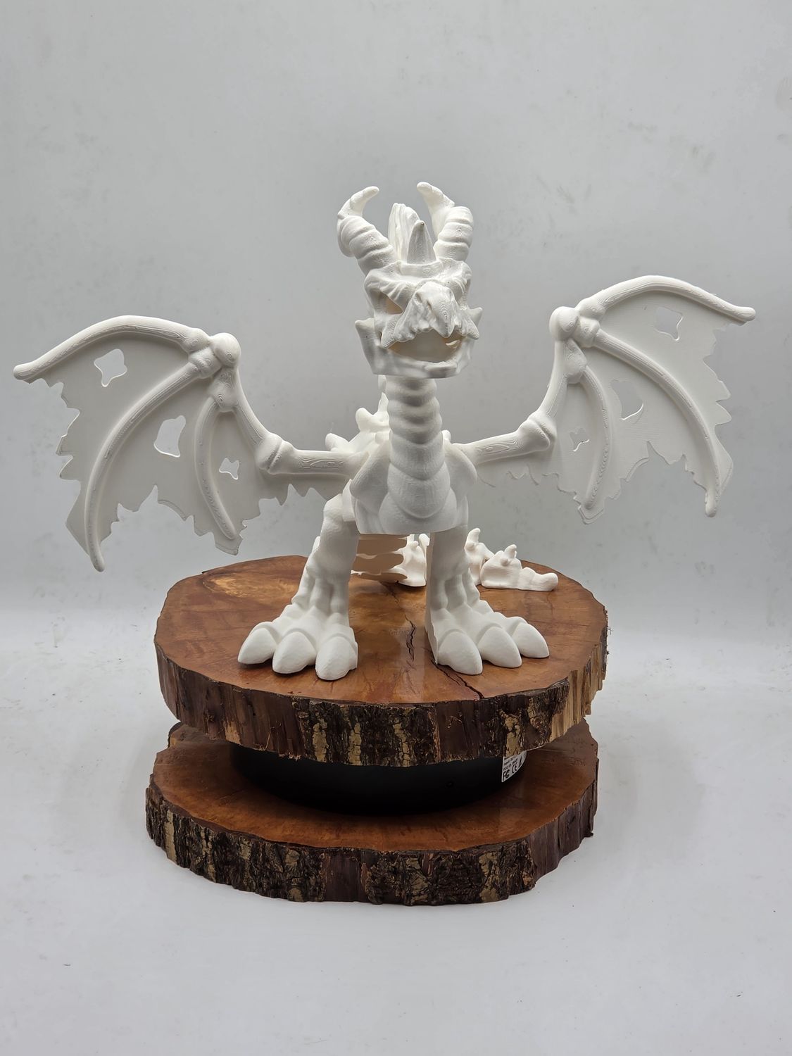 Basilisk Skeleton