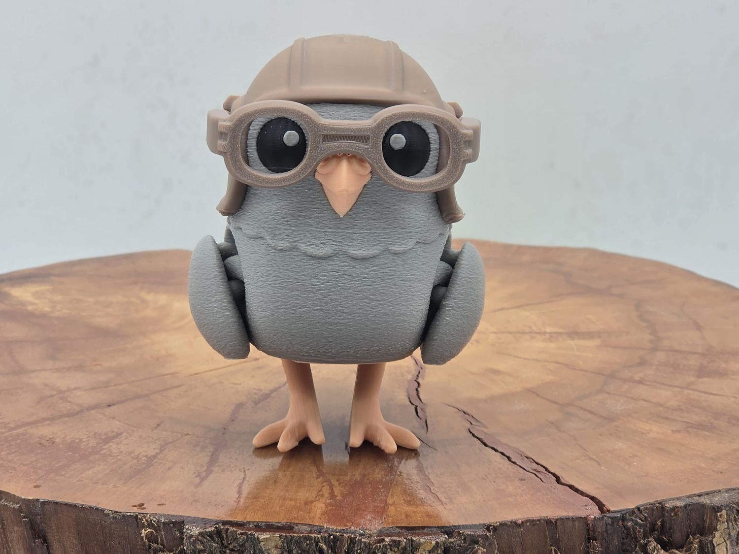 Ace Pidgeon