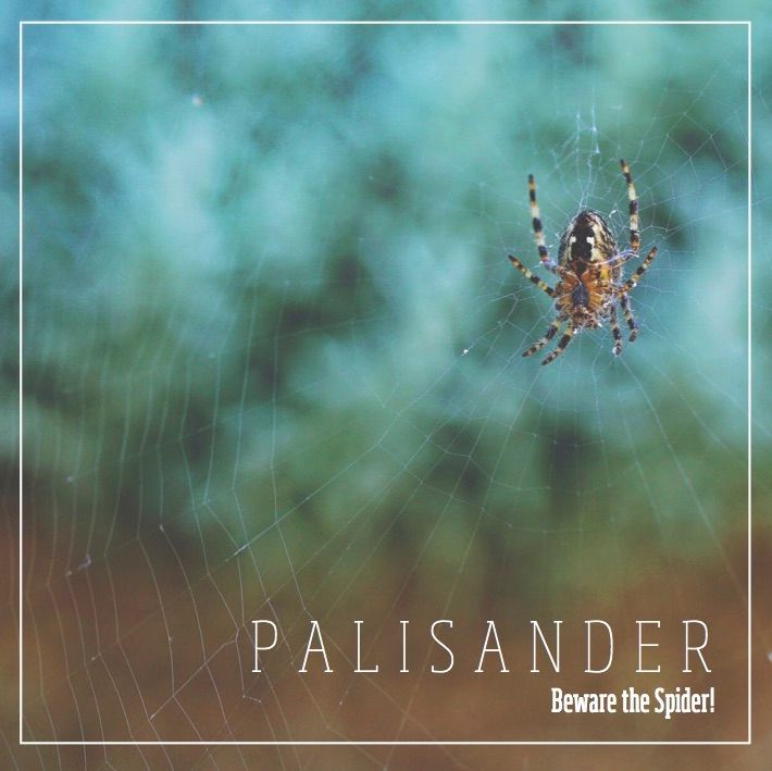 Beware the Spider! CD