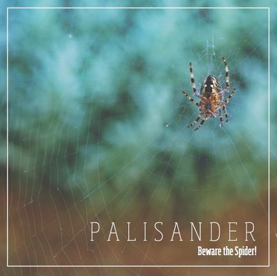 Beware the Spider! CD