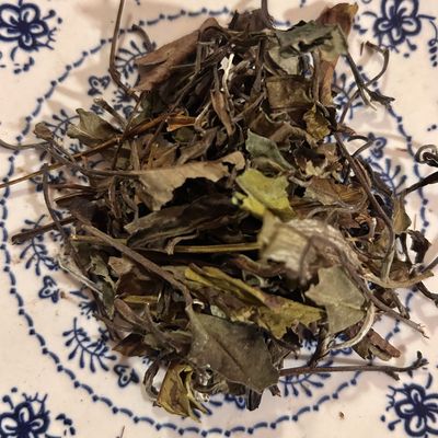 Té blanco Pai Mu Tan