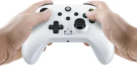 🎮🎮 Dual Gaming Controllers