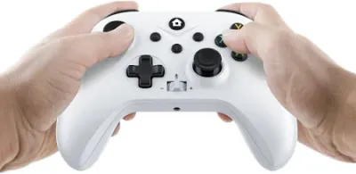 🎮🎮 Dual Gaming Controllers