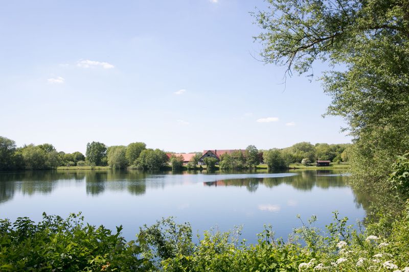 Hexenwerktour 2026 Wildkräuterwanderung 2026 & Frühlingskräuterbuffet  Bulderner See 27.03.2026 ab 25,00€