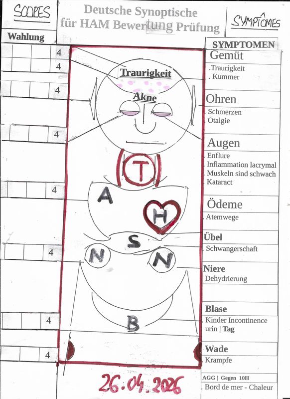 De, |  Synotique Evaluation auf De. Sprache