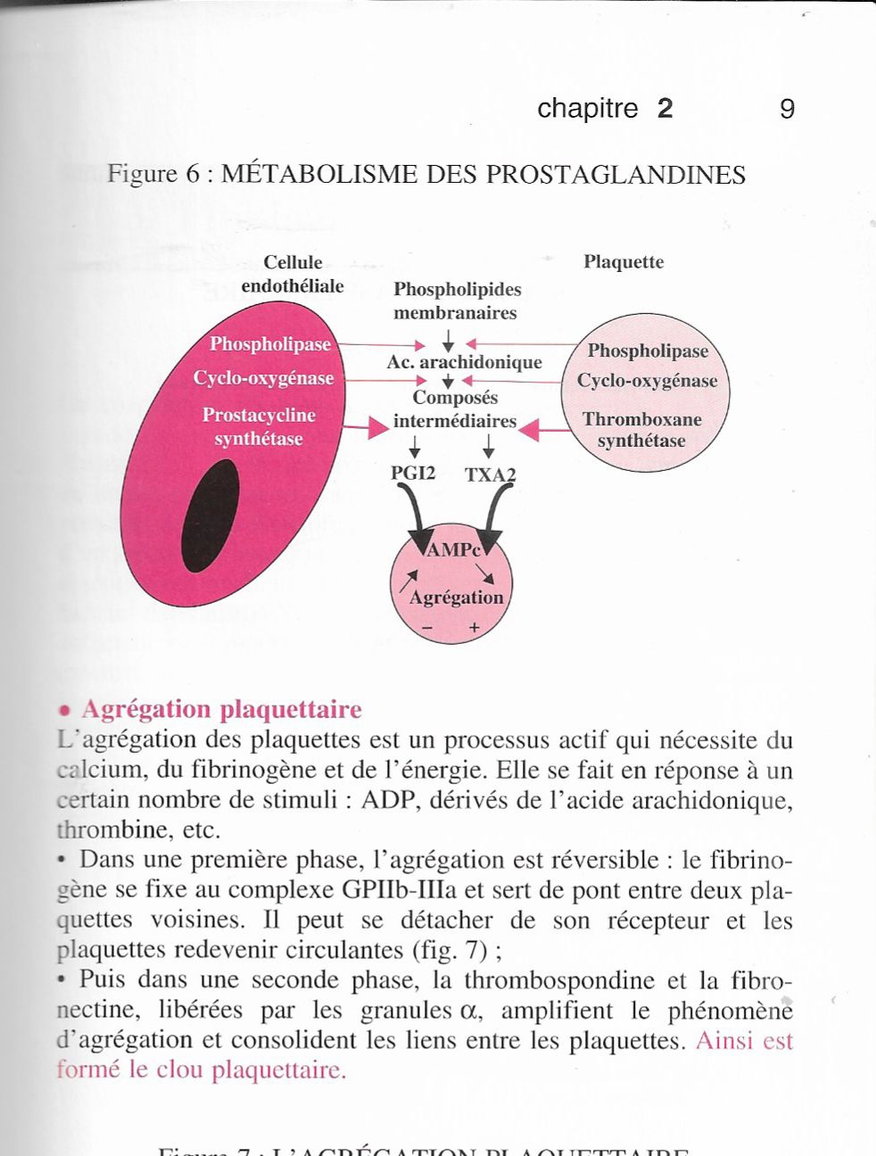 Naja. | Naja tripudians | Similitude Phospholipase A2 | Pancréas | Métabolisme des Prostaglandines