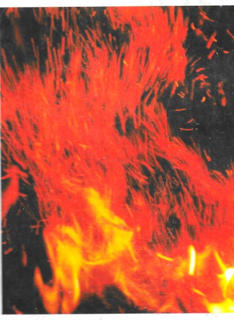 Médiateurs Inflammatoires | Homéopathie