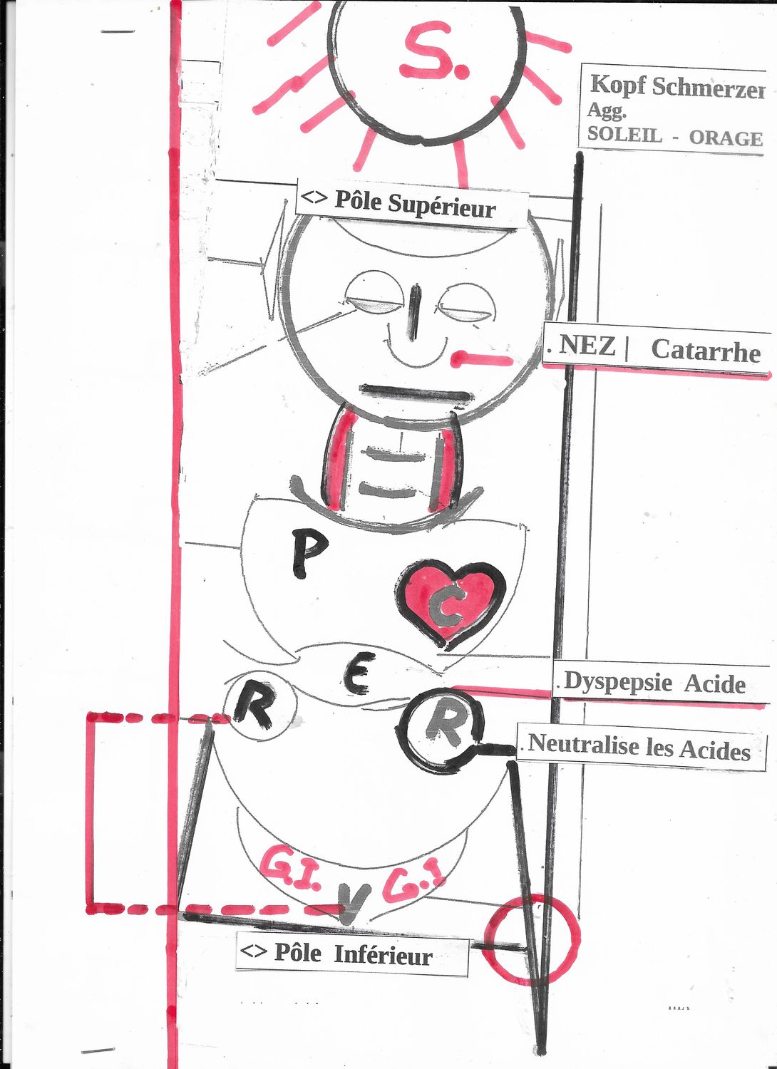 Nat-c | Natrum carb | Neutralise les acides