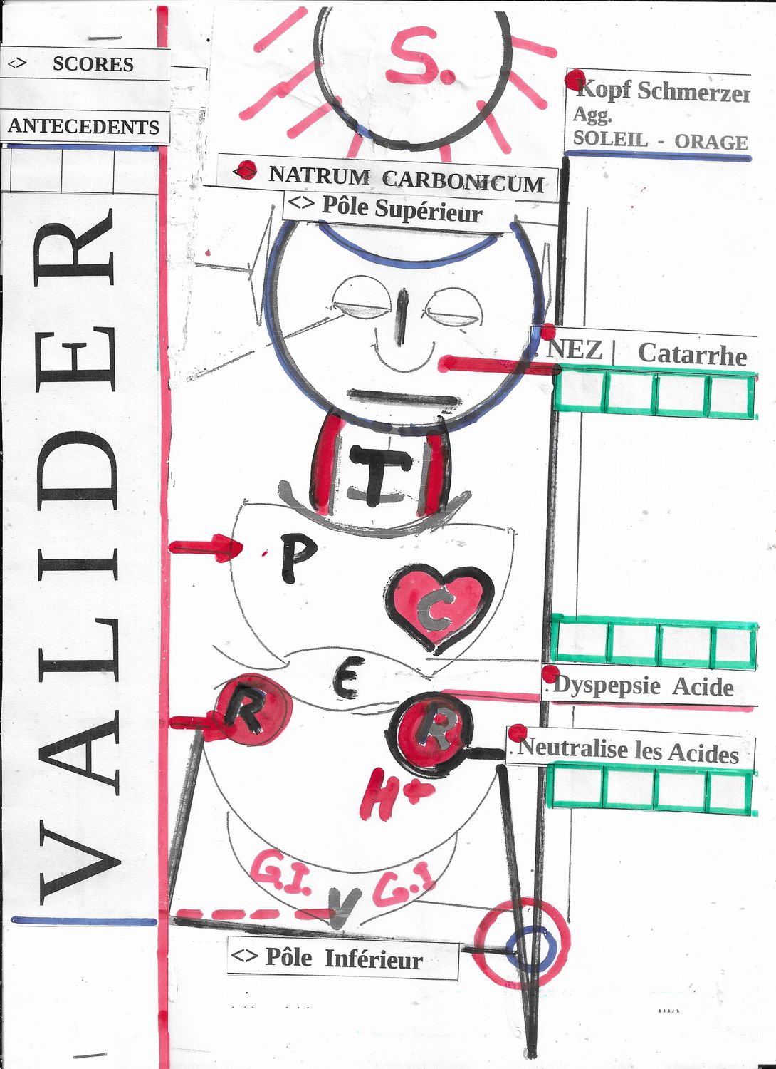 Nat-c | Natrum carb | Neutralise les acides | Ions H+  | Rein