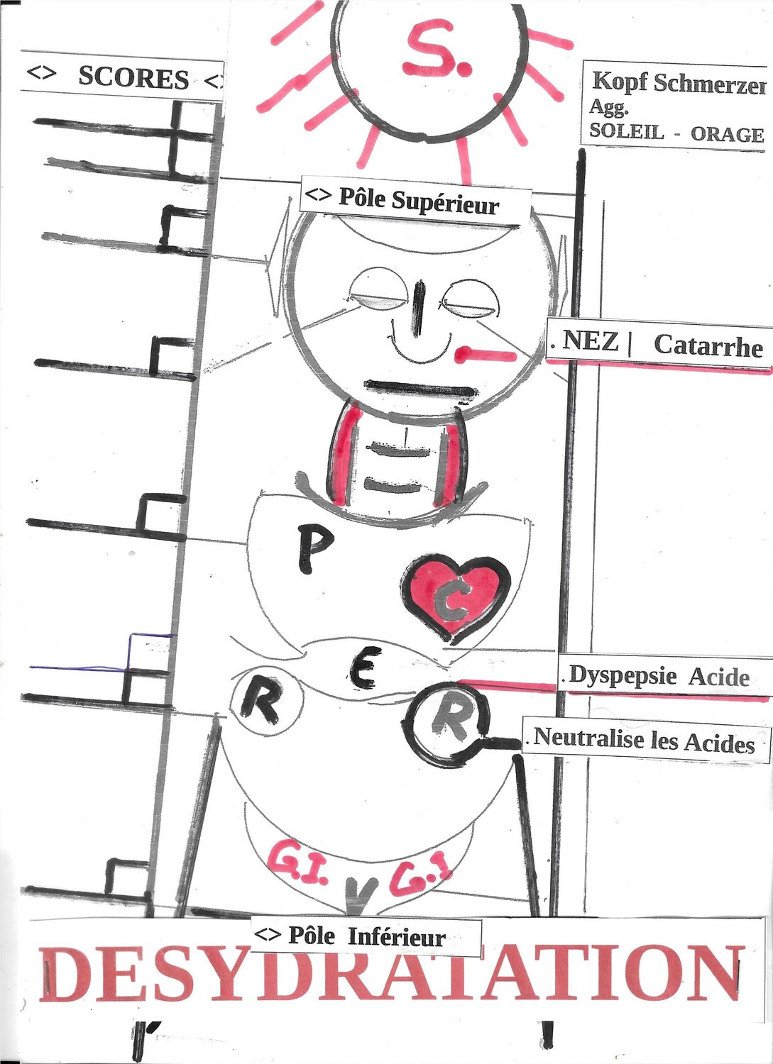 AIDE-DIAGNOSTIC | 5 Synoptiques Evaluation Homéopathiq.  Qui suis-je ?