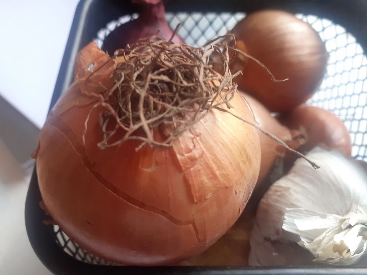 Sulfonalum | SNC | Toxic effects | Haleine odeur Oignon