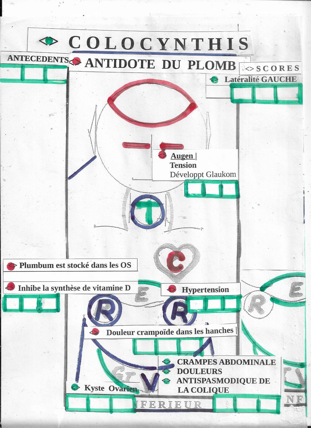 Coloc. | Colocynthis | Antidote de Plumbum | Similitude
