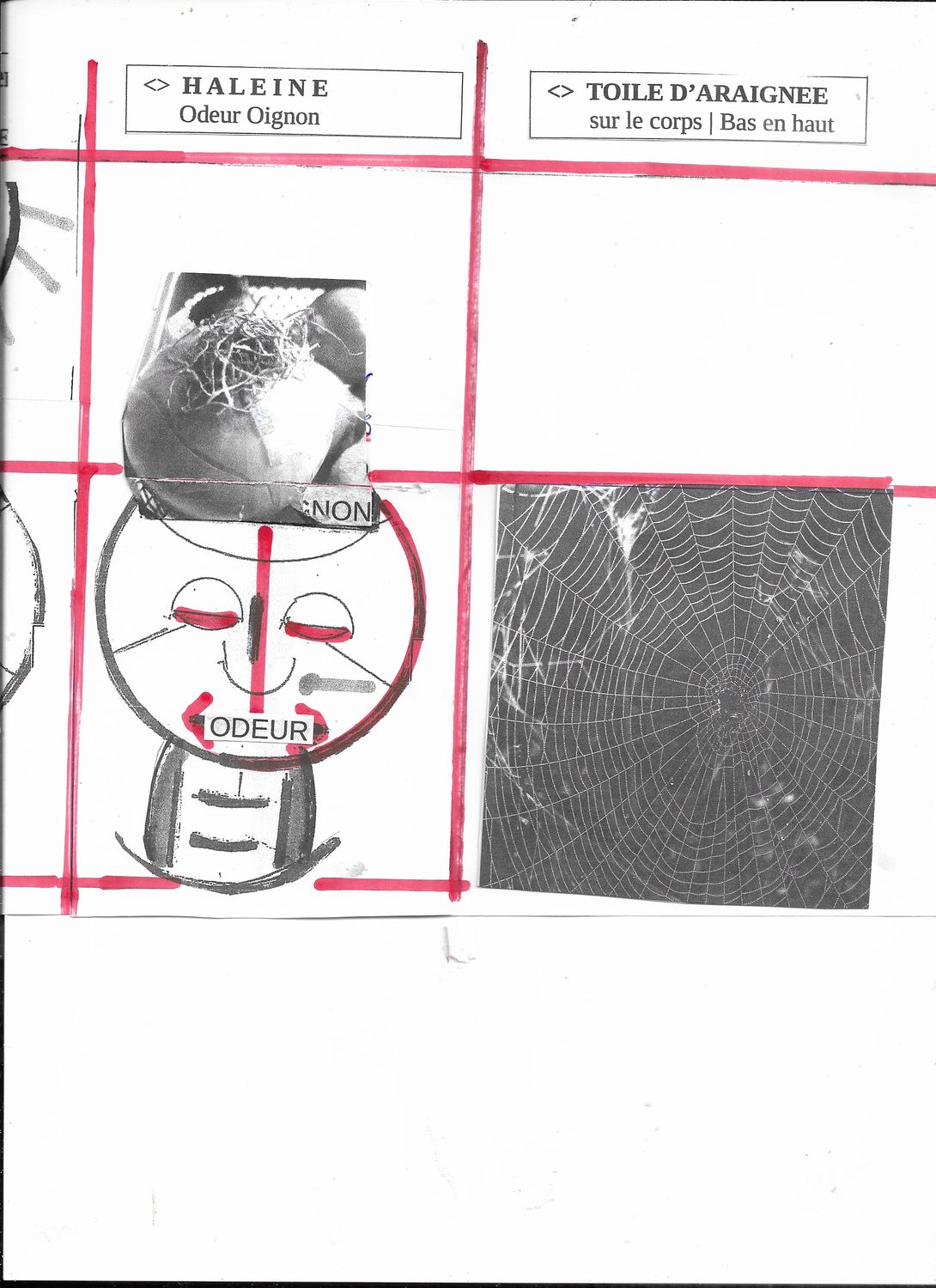 Sulfon. | Sulfonalum | SNC