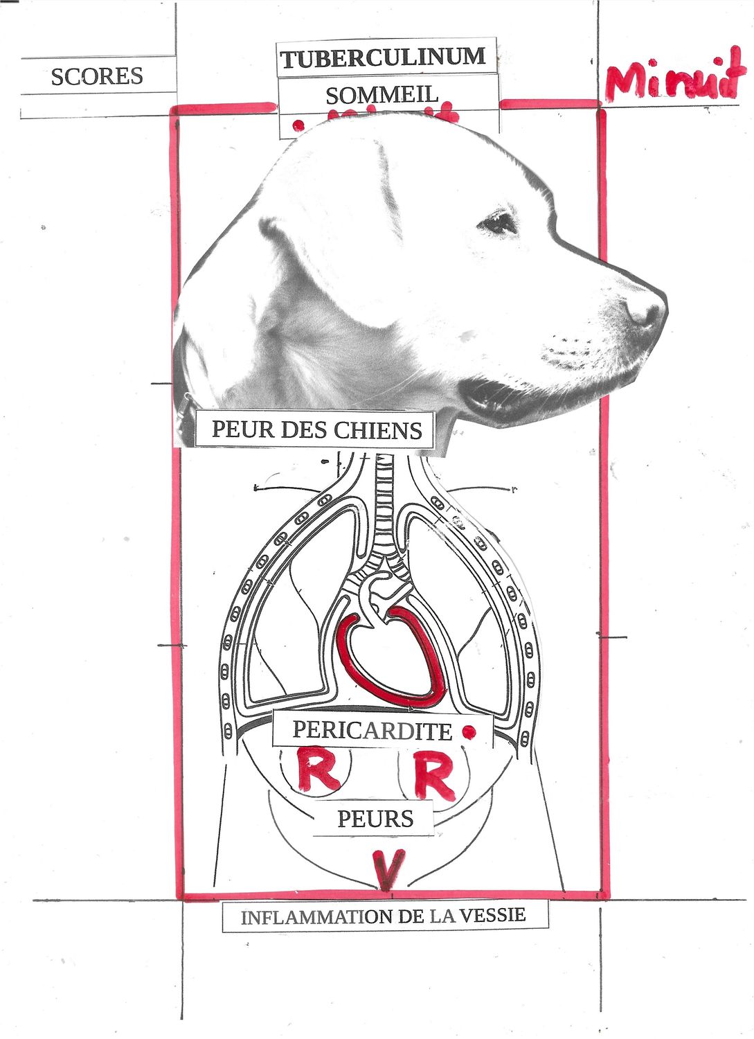 Tub. | Tuberculinum | Nosode | Psychisme | Synoptique Evaluation