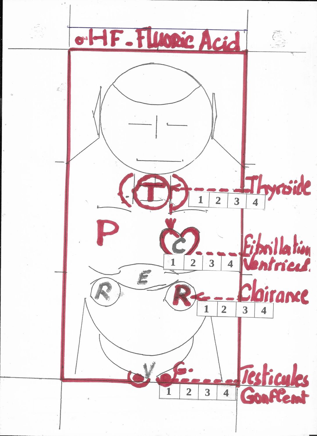 HF. | Fluoric acid | Oxydant