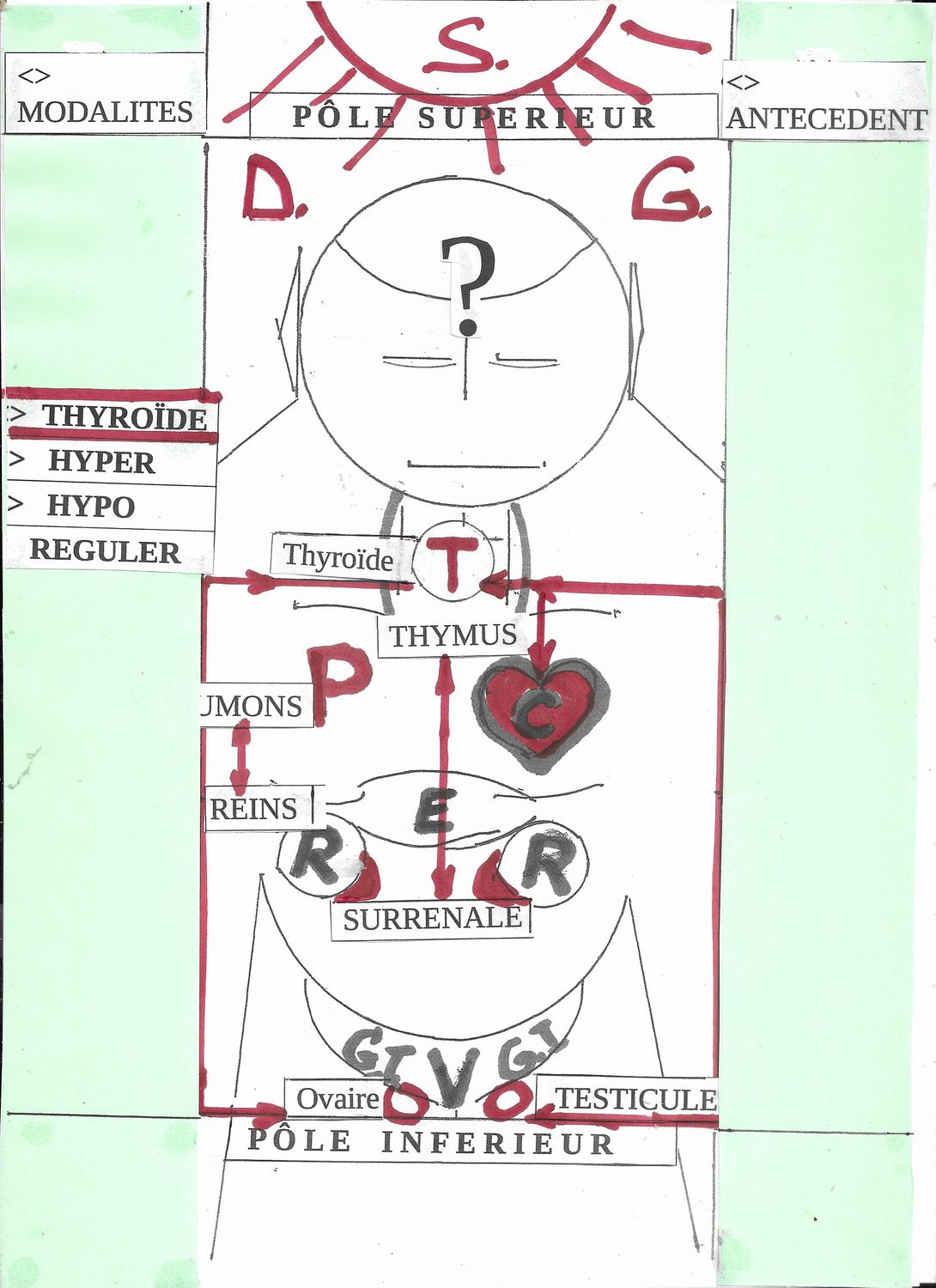 Qui suis-je ? | Formation | Evaluation