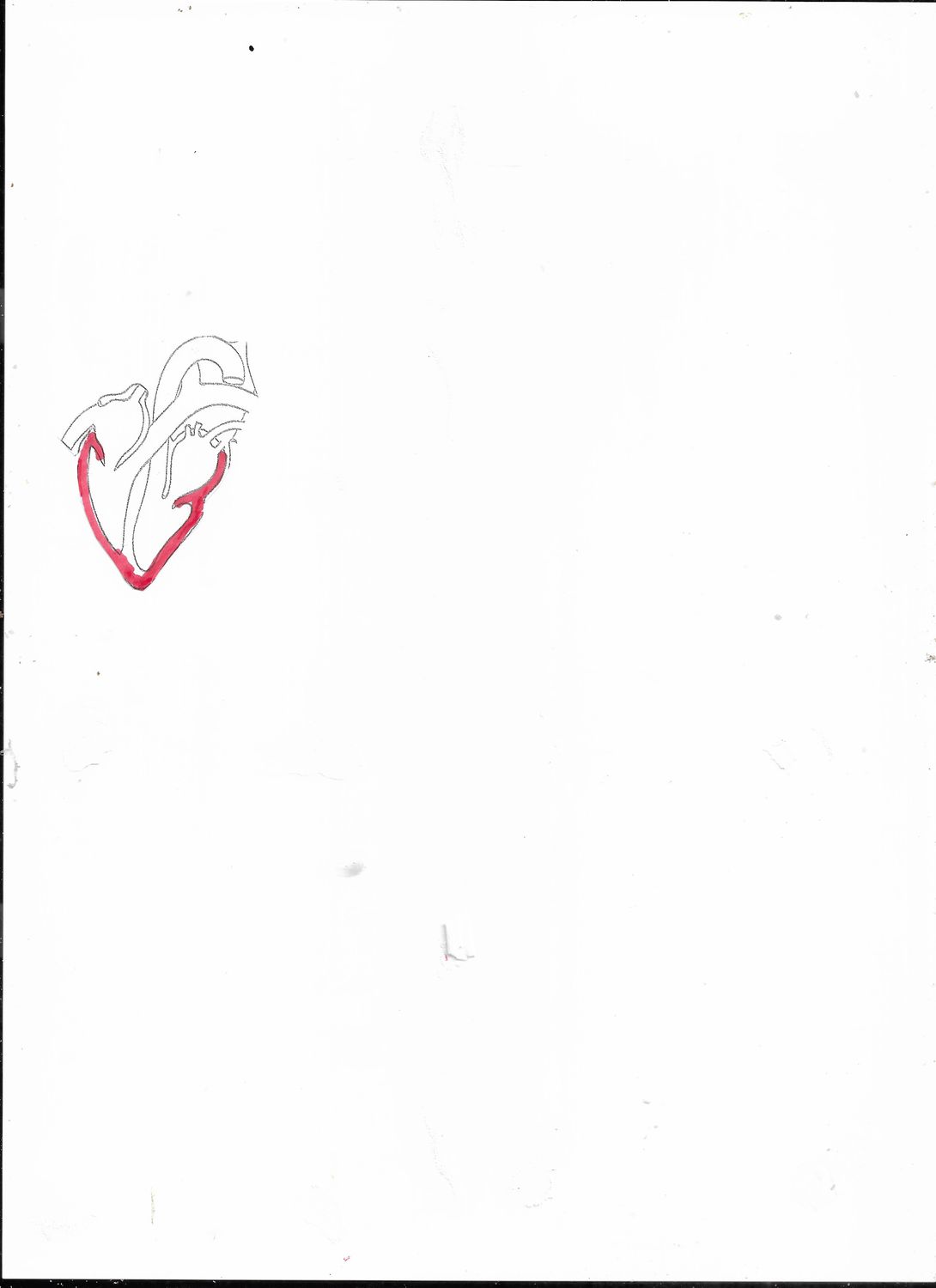 Coeur | H2S | Hydrogène sulfuré.| Similitude
