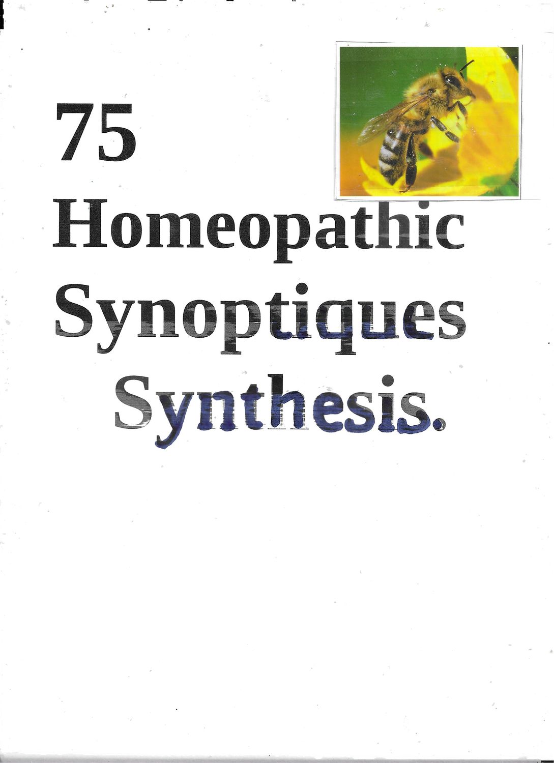 1 AA | 75  Synoptiques - Synthesis | Auto-Evaluation